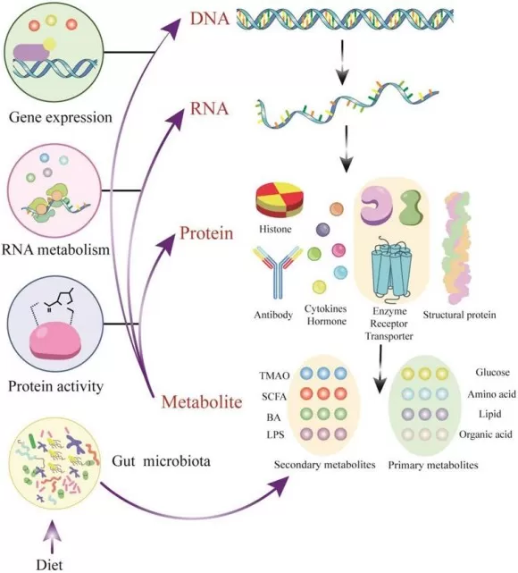 Metabolites - active modulators of gene and protein activity